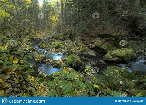 Autumn River Long Exposure Stock Photo Image Of Yellow 125722662