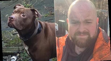 Man 35 Is Mauled To Death By His Pitbull Suffering A Medical Episode
