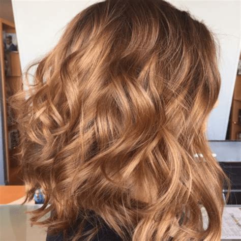 Important Inspiration Hair Color Honey Brown