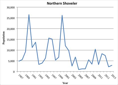 Northern Shoveler Minnesota Breeding Bird Atlas