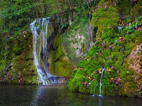 Free Images Tree Nature Forest Waterfall Flower River Stream