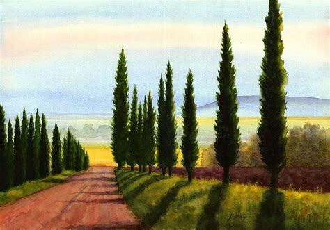 Tuscany Cypress Trees Painting By Janet King Fine Art America