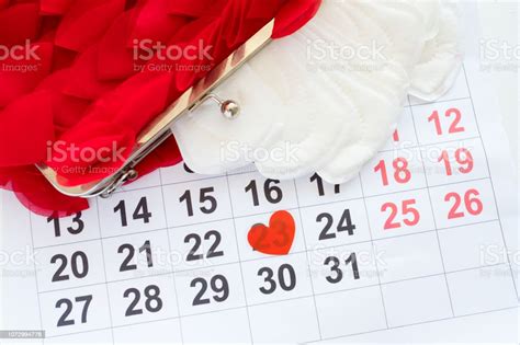 Fisiología Femenina Calendario De Ciclo Menstrual Mensual Foto De Stock