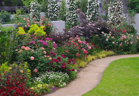 バラに似合う草花選び4つのポイントとおすすめ28種 Gardenstory ガーデンストーリー
