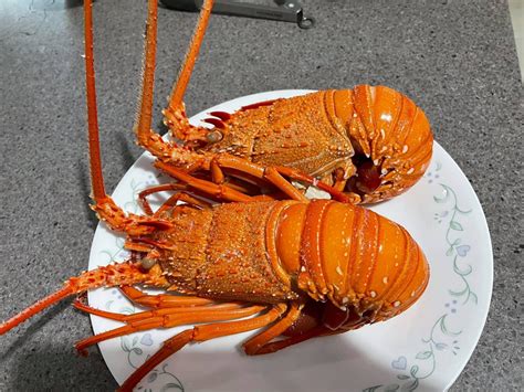 Simple Guide To Cooking Lobster Western Rock Lobster