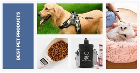46 Best Pet Products For Your Dropshipping Store