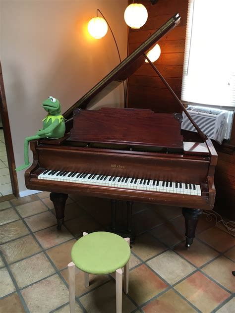Kermit The Frog Epic Rap Battles Of History Wiki Fandom