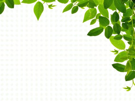 Download Green Border Leaves Ppt Background