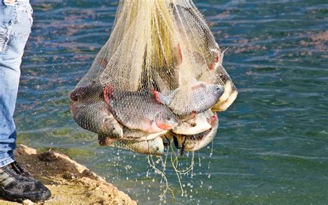 Certamen Nacional Premio A La Pesca Y Acuacultura Sustentables 2018