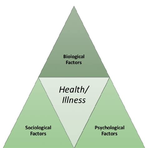 Biomedical Model Of Disease Download Scientific Diagram