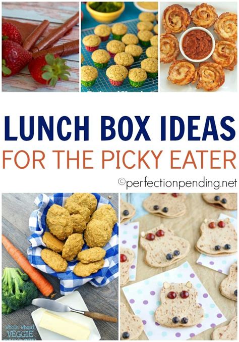 See more ideas about kids meals, food, kid friendly meals. 20 Lunchbox Ideas For the Picky Eater - Perfection Pending