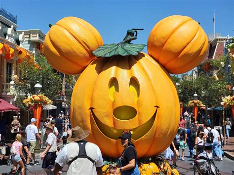 Giant Mickey Pumpkin And Carved Character Face Pumpkins Arrive At