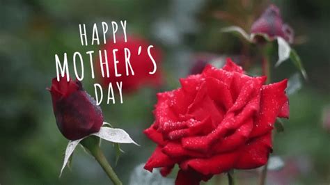 Mother's day is a celebration honoring the mother of the family, as well as motherhood, maternal. GIF Love on Mother's Day (GIFs Giveaway) - Gifzign