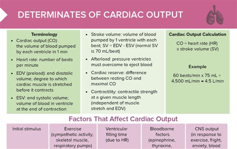 Cardiac Output Free Cheat Sheet Lecturio Nursing