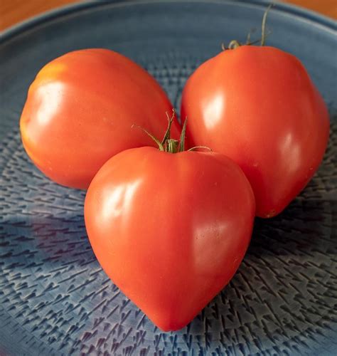 Some Of The Meatiest Most Flavour Packed Heirloom Tomatoes Are