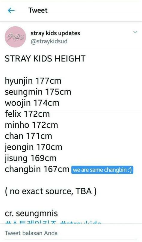 Stray Kids Height •stray Kids Amino• Amino