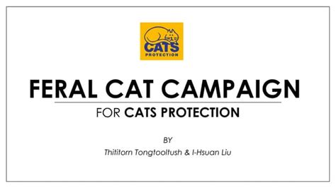 Feral Cat Campaign Ppt