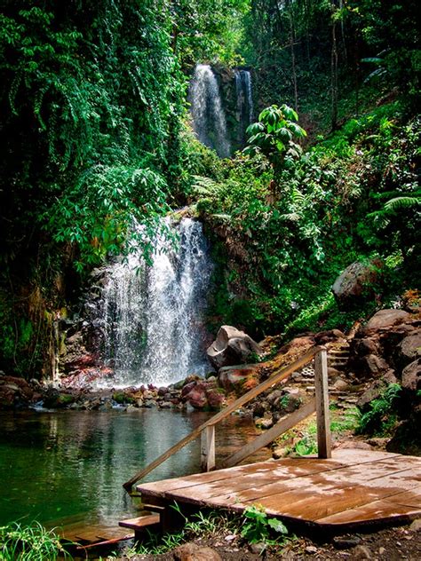 Diez Parques Nacionales Increíbles De Costa Rica Que Tienes Que Conocer
