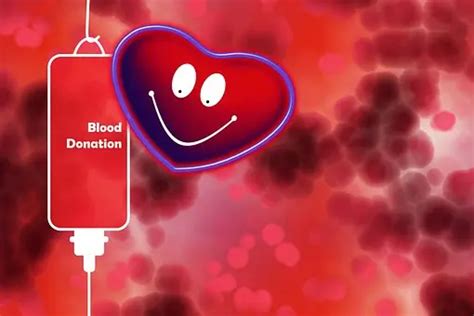 أهمية التبرع بالدم الفوائد والمخاطر والإمداد منصة شفاء