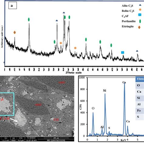 A Xrd Patterns Of Cement Paste After 4 D B Bse Images With Edx Of