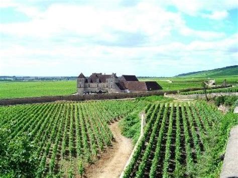 Le vin de Bourgogne vignobles et cépages