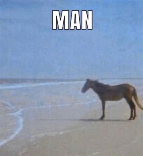 Unimpressive → ʰᵃⁱᵏʸᵘᵘ ˣ ʳᵉᵃᵈᵉʳ Horse Meme Funny Memes Relatable