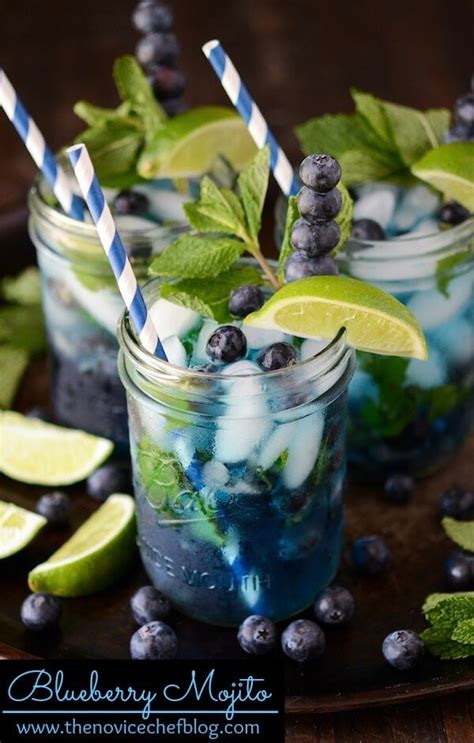 Blueberry Mojito The Novice Chef