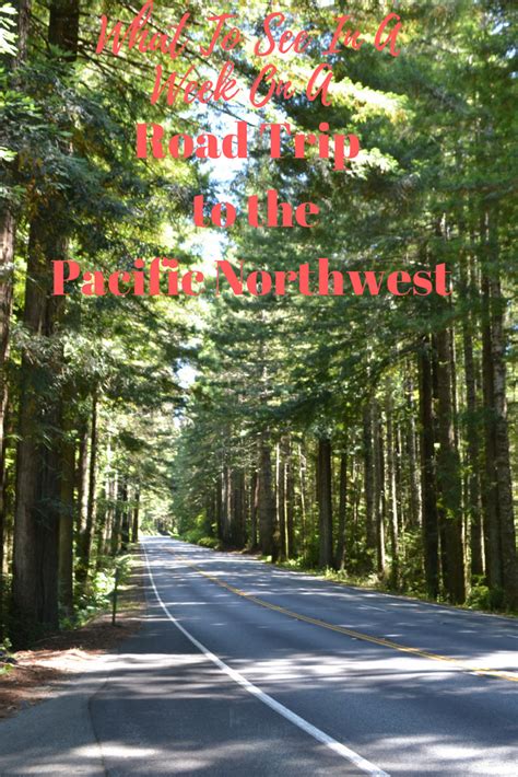 Pacific Northwest Road Trip In 1 Week San Fran Oregon And Seattle