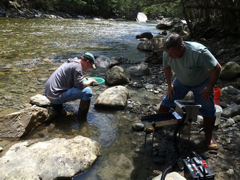 May Gold Panning Class Warm And Golden American Gold Prospecting Adventures