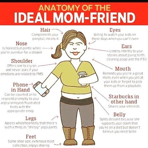 An Anatomy Of The Ideal Mom Friend Poster With Instructions On How To Use It
