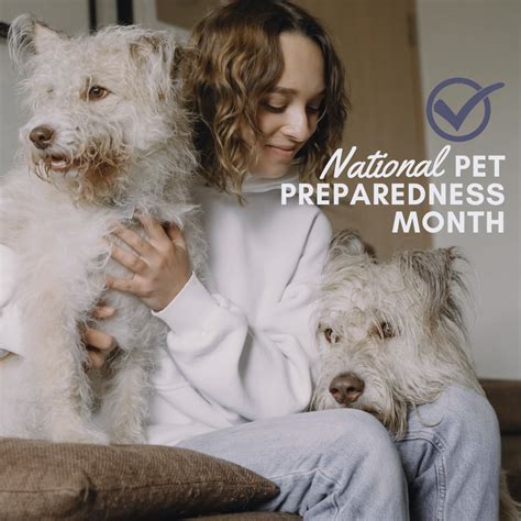 National Pet Preparedness Month