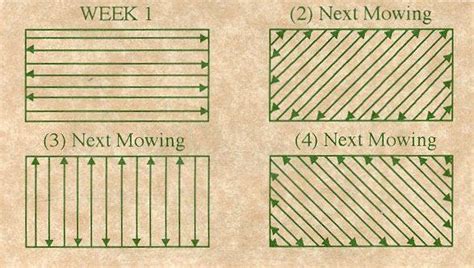 Mow Lawns In Alternating Patterns To Avoid Ruts And Keep A Level