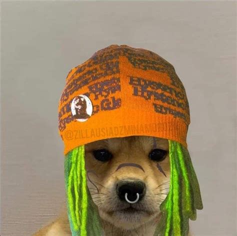 Ive Made Zilla Dog Wif Hat Rcitymorgue