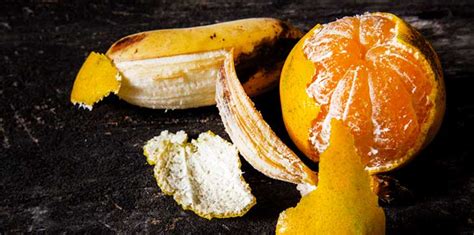 Why You Should Never Throw Away Orange Or Banana Peels True Activist