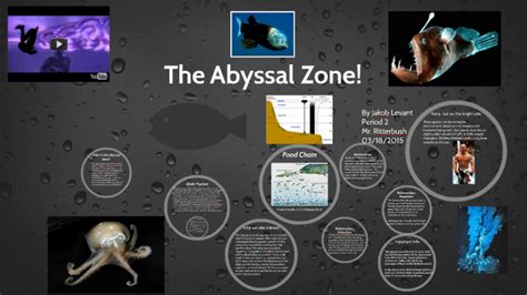 The Abyssal Zone By Jakob Levant On Prezi Next