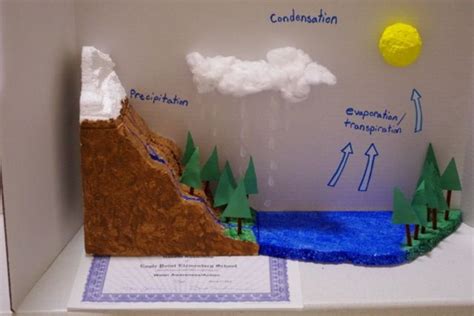 March Water Cycle Model Water Cycle Science Fair