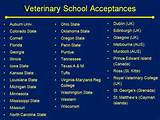 Pictures of Veterinary Degrees