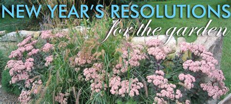 Grounded Design By Thomas Rainer New Years Resolutions For The Garden