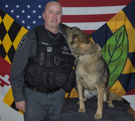 Calvert County Sheriff S Office Regrets To Announce Passing Of K 9 Vefi Southern Maryland News