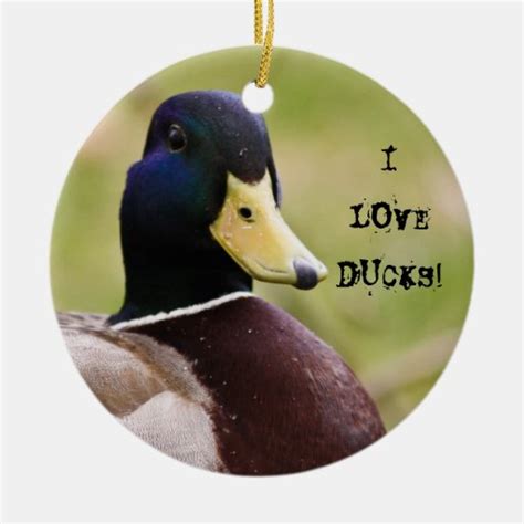 I Love Ducks Ornaments Zazzle