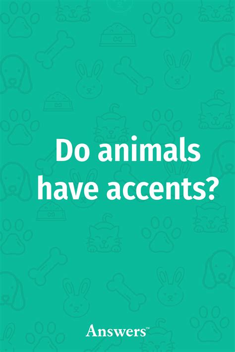 Do Animals Have Accents Pilot Whale Animal Communication Fun Facts