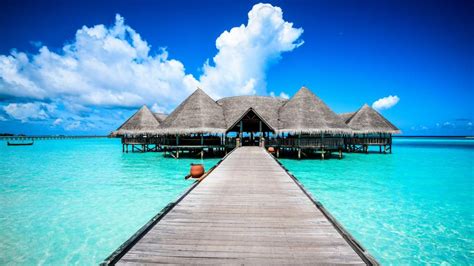 Es el paraíso, ideal para desconectar de todo y relajarse. Alle Maldive in cerca di paradisi "green"