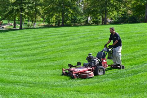 Lawn Mowing Tips To Make Your Lawn Look Like A Professional Sports Field