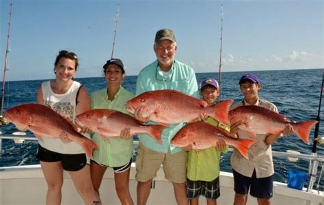 Fish You Can Catch In Orange Beach Deep Sea Fishing Deep Sea Fishing