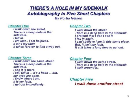 Theres A Hole In My Sidewalk Autobiography In Five Short Chapters By
