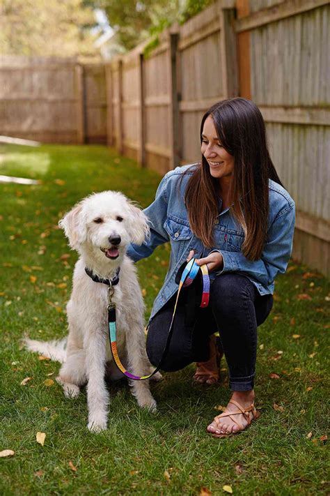 How To Find The Best Pet Sitting Service For Your Pet Better Homes