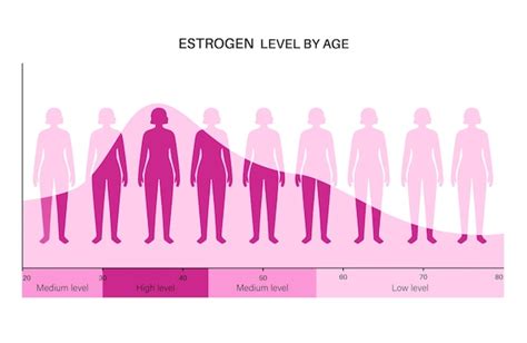 Premium Vector Estrogen Level Color Chart Sex Hormone Production By Age Isolated Flat Vector