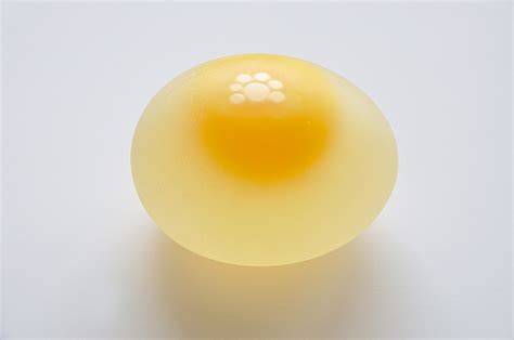 Filechicken Egg Without Eggshell 5859 Wikipedia