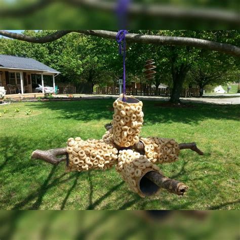 Easy to make bird feeders do more than feed birds. Diy Bird Feeder! ^_^ toilet paper rolls, peanut butter ...