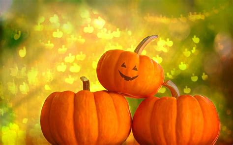 Pumpkin Wallpapers Top Hình Ảnh Đẹp